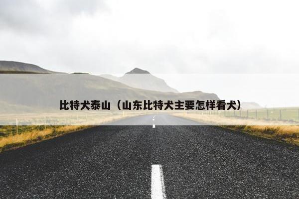 比特犬泰山（山东比特犬主要怎样看犬）