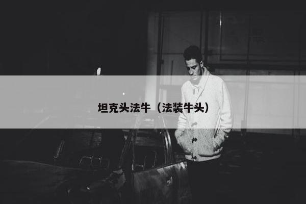 坦克头法牛（法装牛头）