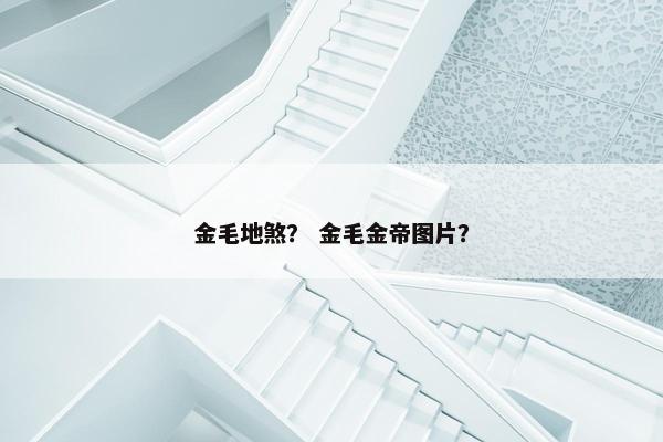 金毛地煞？ 金毛金帝图片？