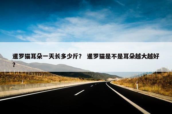 暹罗猫耳朵一天长多少斤？ 暹罗猫是不是耳朵越大越好？