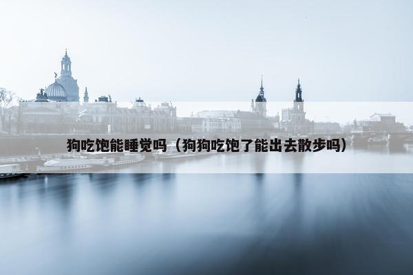 狗吃饱能睡觉吗（狗狗吃饱了能出去散步吗）