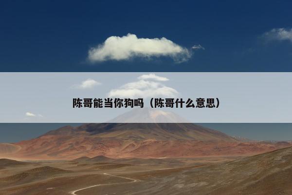 陈哥能当你狗吗（陈哥什么意思）