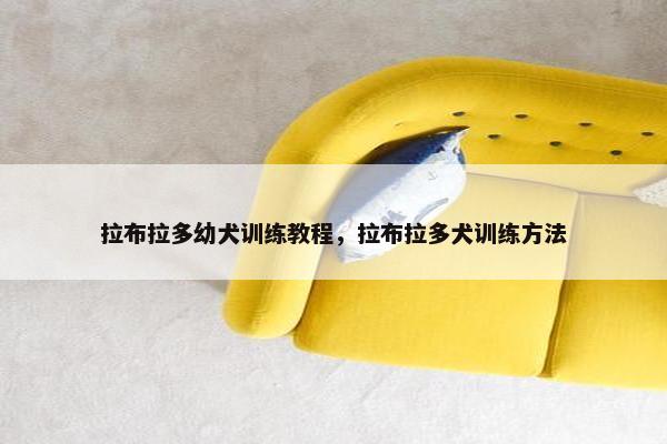 拉布拉多幼犬训练教程，拉布拉多犬训练方法