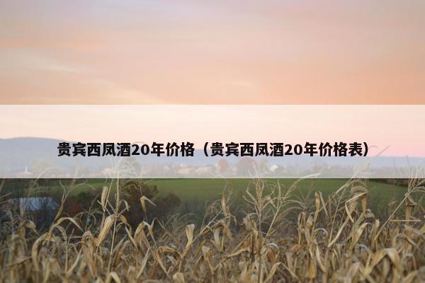 贵宾西凤酒20年价格（贵宾西凤酒20年价格表）