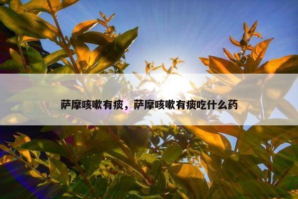 萨摩咳嗽有痰，萨摩咳嗽有痰吃什么药