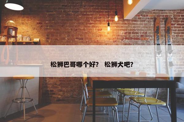 松狮巴哥哪个好？ 松狮犬吧？