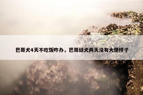巴哥犬4天不吃饭咋办，巴哥幼犬两天没有大便样子