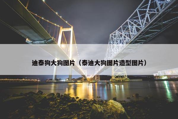 迪泰狗大狗图片（泰迪大狗图片造型图片）