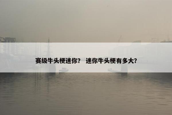 赛级牛头梗迷你？ 迷你牛头梗有多大？