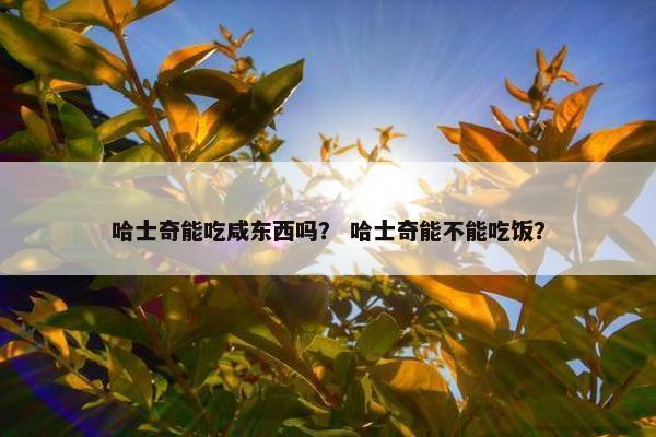哈士奇能吃咸东西吗？ 哈士奇能不能吃饭？