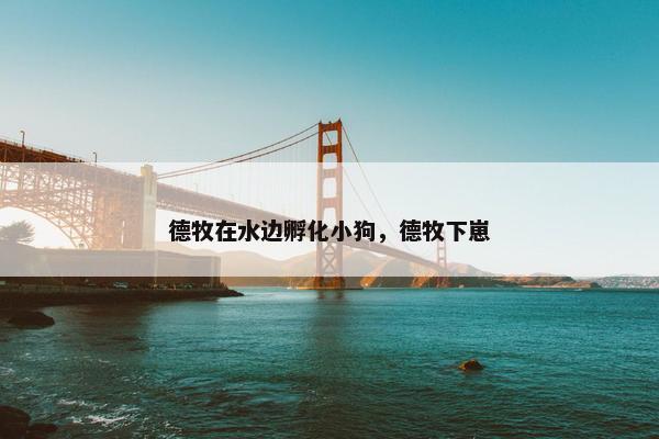 德牧在水边孵化小狗，德牧下崽