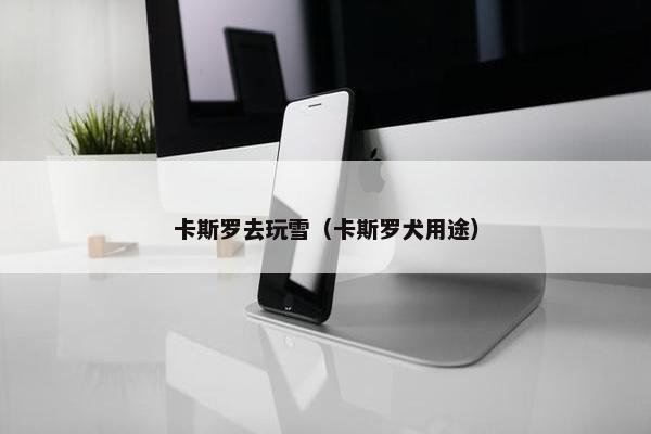 卡斯罗去玩雪（卡斯罗犬用途）