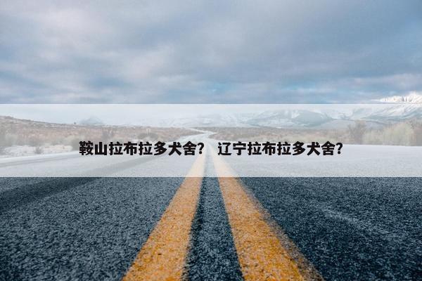 鞍山拉布拉多犬舍？ 辽宁拉布拉多犬舍？