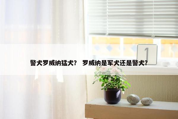 警犬罗威纳猛犬？ 罗威纳是军犬还是警犬？
