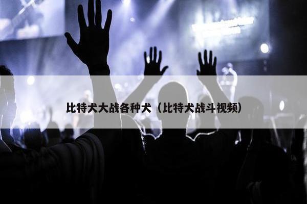 比特犬大战各种犬（比特犬战斗视频）