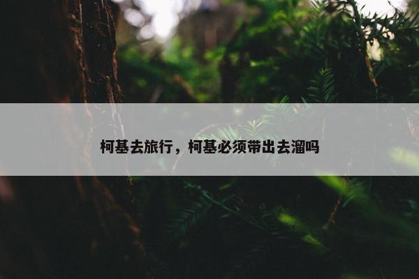 柯基去旅行，柯基必须带出去溜吗
