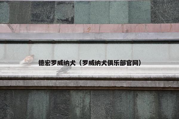 德宏罗威纳犬（罗威纳犬俱乐部官网）