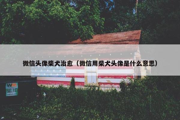 微信头像柴犬治愈（微信用柴犬头像是什么意思）