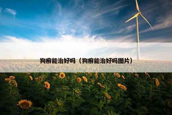 狗癣能治好吗（狗癣能治好吗图片）