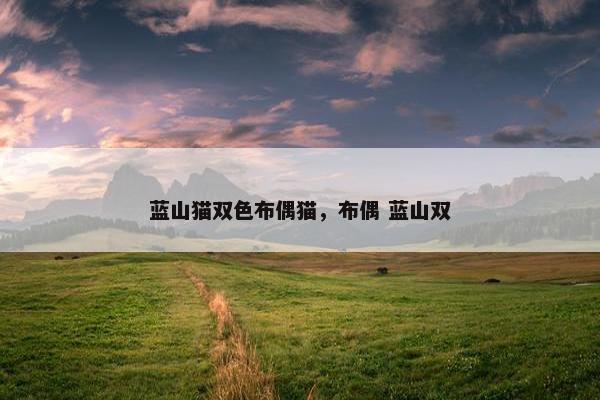 蓝山猫双色布偶猫，布偶 蓝山双