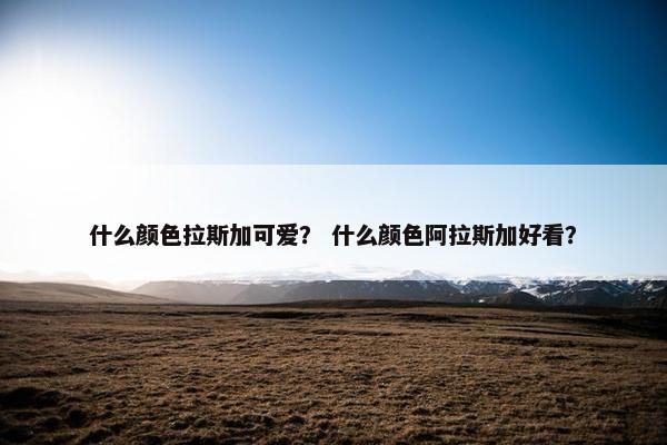 什么颜色拉斯加可爱？ 什么颜色阿拉斯加好看？