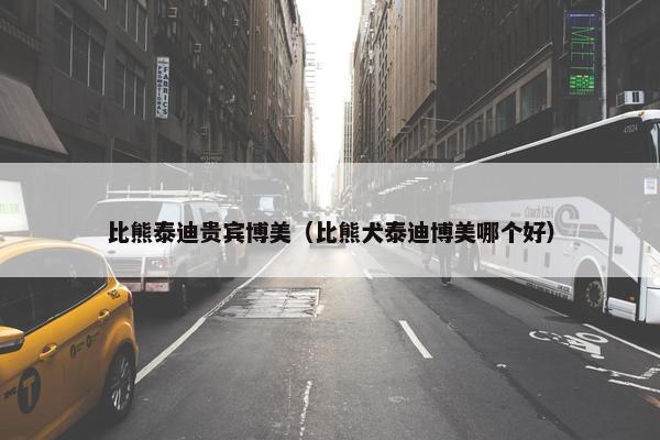 比熊泰迪贵宾博美（比熊犬泰迪博美哪个好）