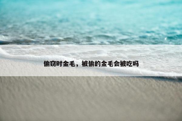 偷窃时金毛，被偷的金毛会被吃吗