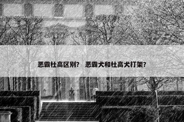 恶霸杜高区别？ 恶霸犬和杜高犬打架？