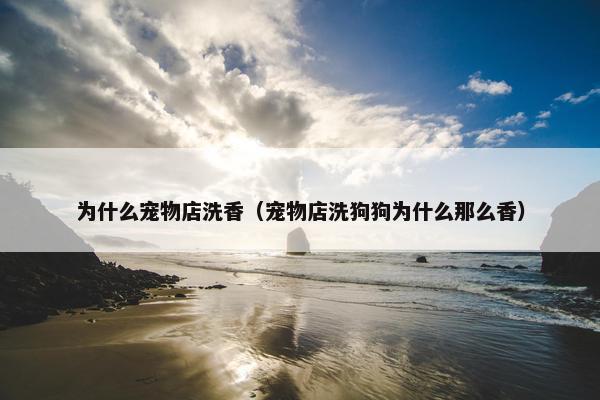 为什么宠物店洗香（宠物店洗狗狗为什么那么香）