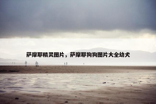 萨摩耶精灵图片，萨摩耶狗狗图片大全幼犬