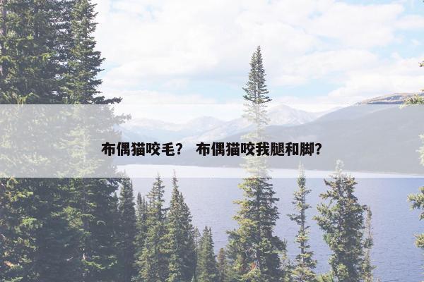布偶猫咬毛？ 布偶猫咬我腿和脚？
