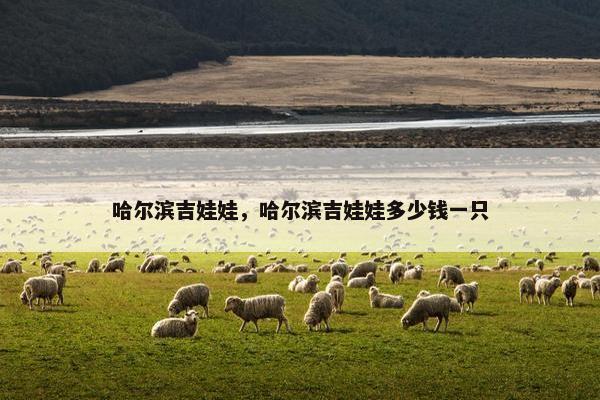 哈尔滨吉娃娃，哈尔滨吉娃娃多少钱一只