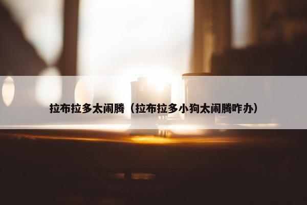 拉布拉多太闹腾（拉布拉多小狗太闹腾咋办）