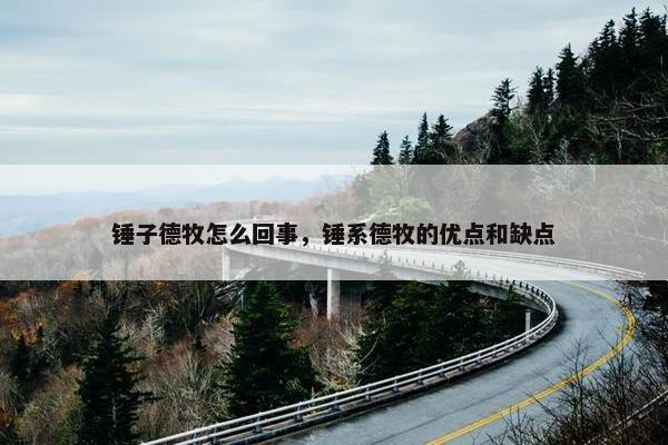 锤子德牧怎么回事，锤系德牧的优点和缺点