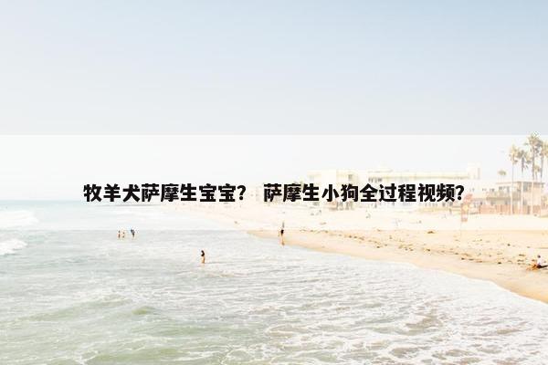 牧羊犬萨摩生宝宝？ 萨摩生小狗全过程视频？