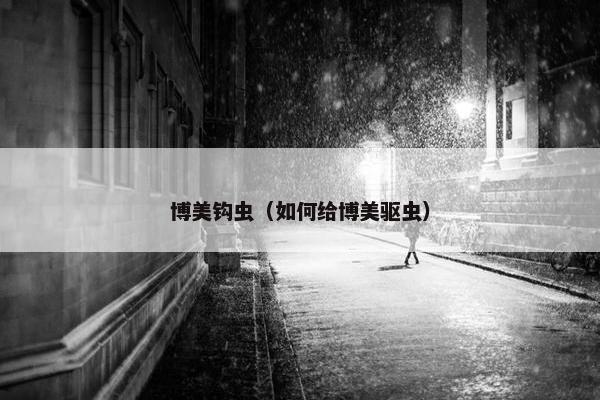 博美钩虫（如何给博美驱虫）