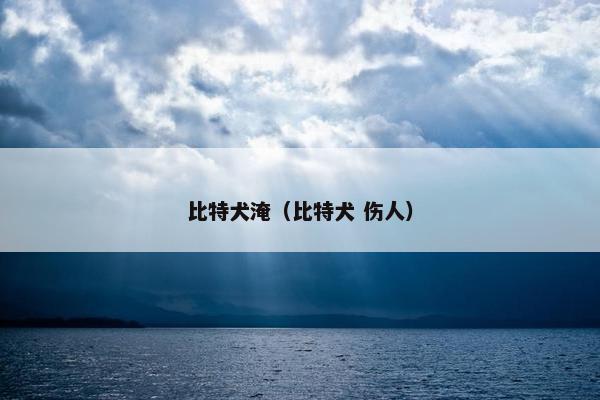 比特犬淹（比特犬 伤人）
