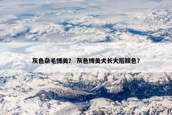灰色杂毛博美？ 灰色博美犬长大后颜色？