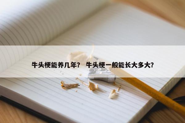 牛头梗能养几年？ 牛头梗一般能长大多大？