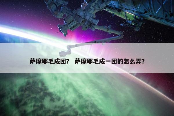 萨摩耶毛成团？ 萨摩耶毛成一团的怎么弄？