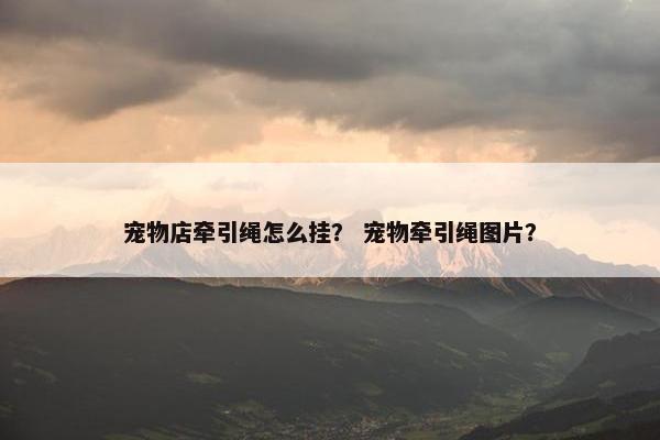 宠物店牵引绳怎么挂？ 宠物牵引绳图片？