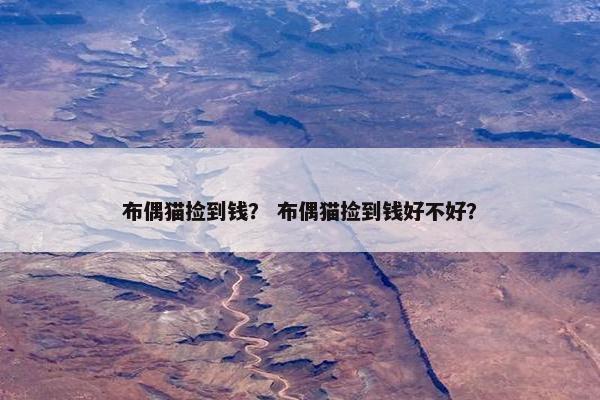 布偶猫捡到钱？ 布偶猫捡到钱好不好？