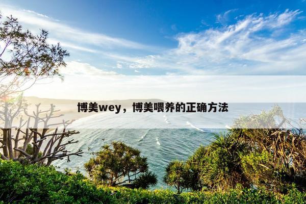 博美wey，博美喂养的正确方法