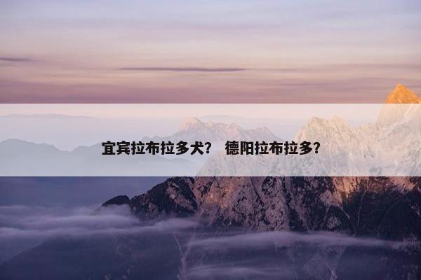 宜宾拉布拉多犬？ 德阳拉布拉多？