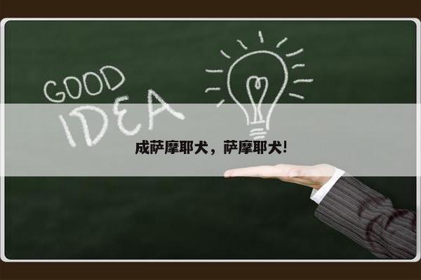 成萨摩耶犬，萨摩耶犬!