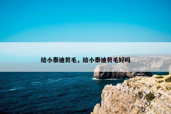 给小泰迪剪毛，给小泰迪剪毛好吗