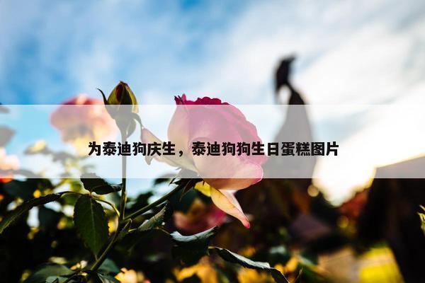 为泰迪狗庆生，泰迪狗狗生日蛋糕图片