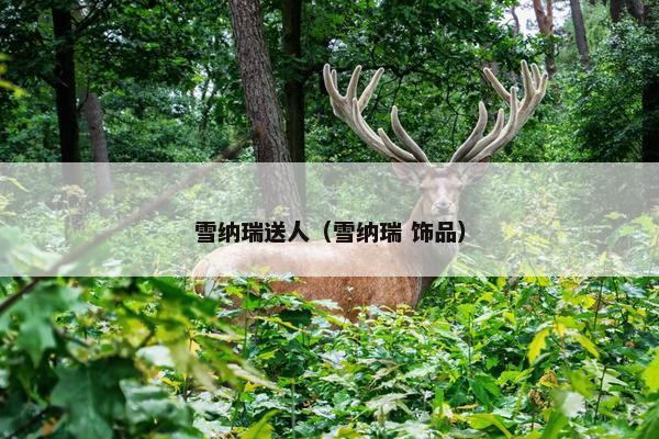 雪纳瑞送人（雪纳瑞 饰品）