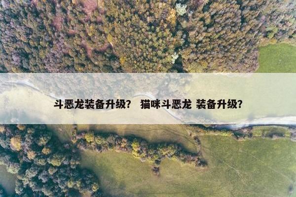 斗恶龙装备升级？ 猫咪斗恶龙 装备升级？