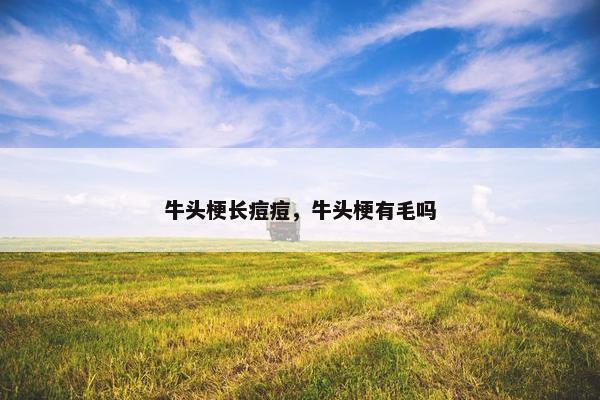 牛头梗长痘痘，牛头梗有毛吗